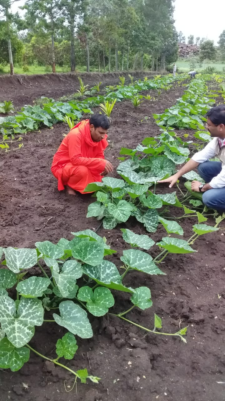 Environmental and community activity