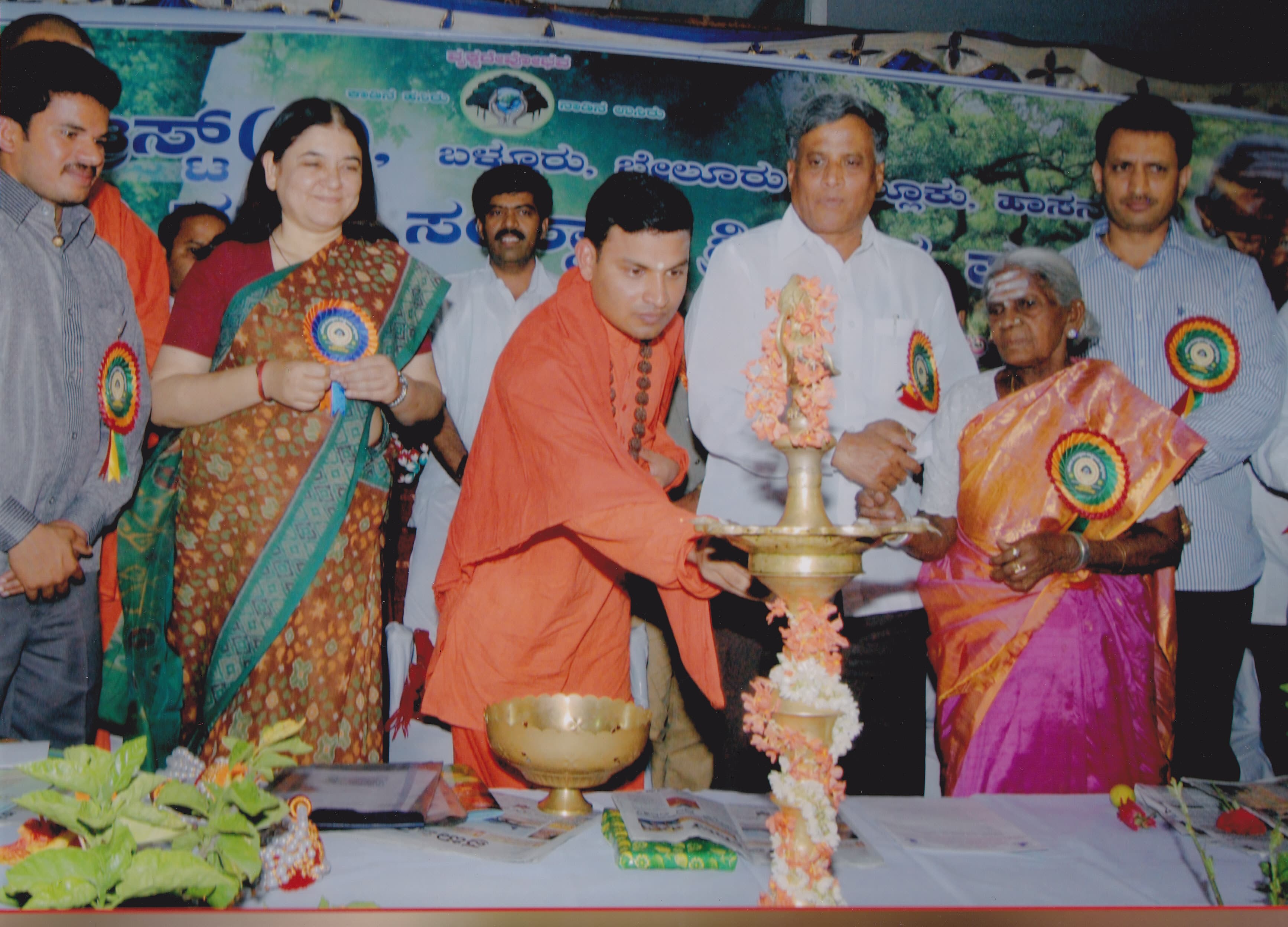 Institutional programme
